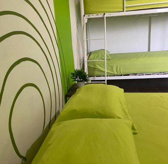 Четырехместный Номер Стандарт, Acuarela Hostal