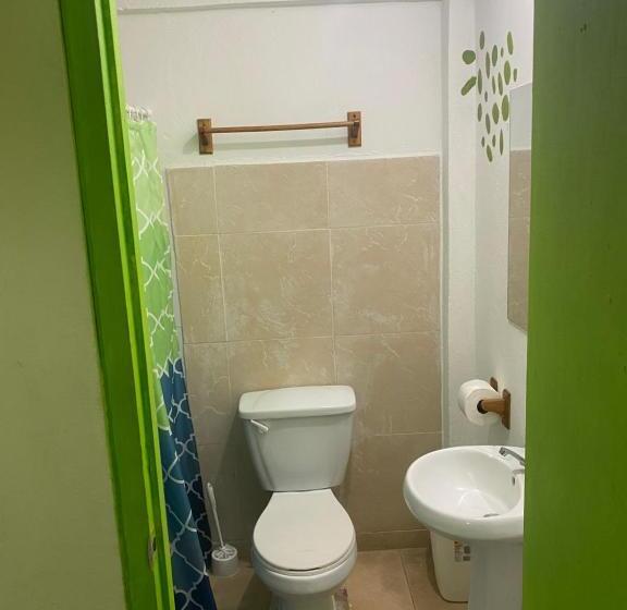 Четырехместный Номер Стандарт, Acuarela Hostal