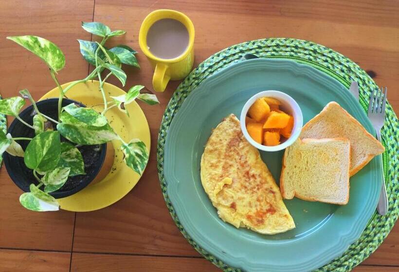 Номер Стандарт Четырехместный Совместный Санузел, Acuarela Hostal