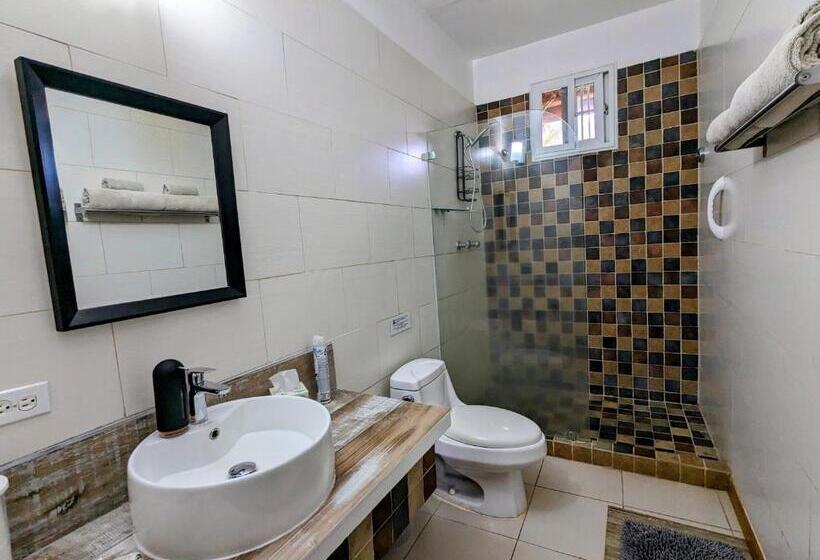 Трехместный Номер Стандарт Вид на Бассейн, Villa Botero By Casa Mojito