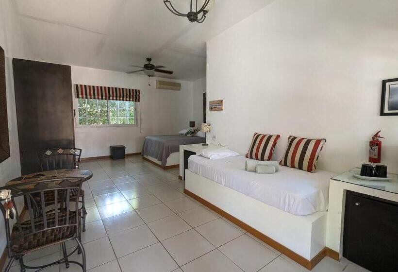 プールの見えるスタンダードトリプルルーム, Villa Botero By Casa Mojito