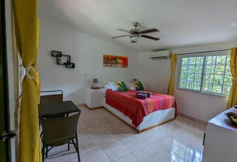 プールビュースタンダードルーム, Villa Botero By Casa Mojito