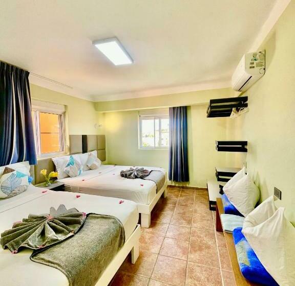 اتاق خانوادگی, Villa Iguana