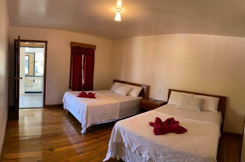 اتاق استاندارد, Coral View Beach Resort