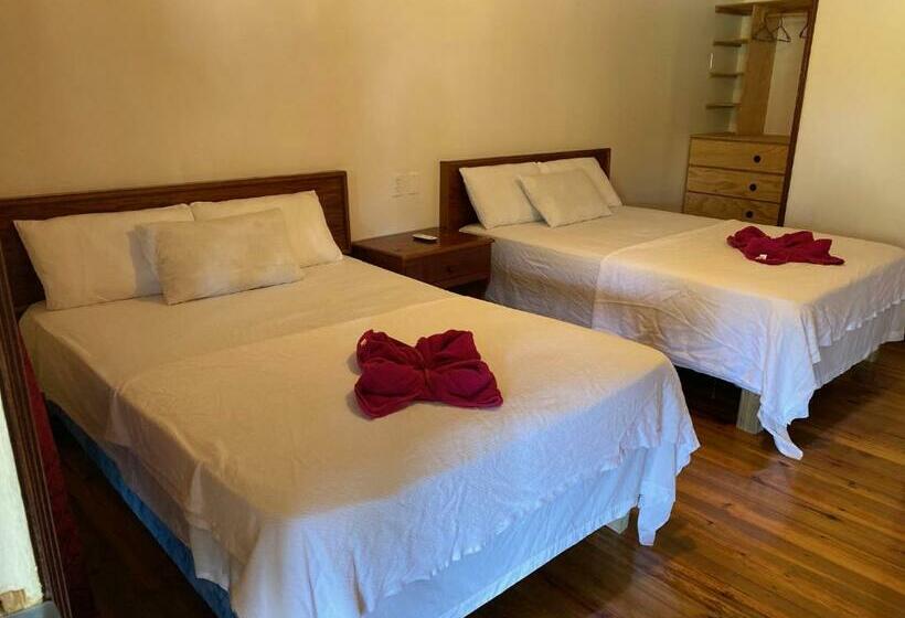 اتاق استاندارد, Coral View Beach Resort