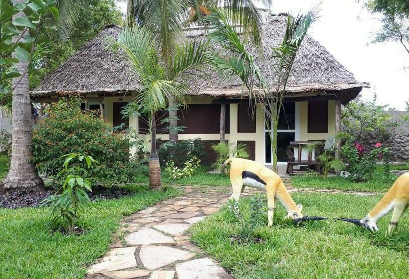 اتاق استاندارد, Kijiji Beach Resort