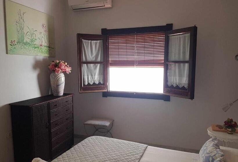 اتاق استاندارد, Hostel Mayflowers