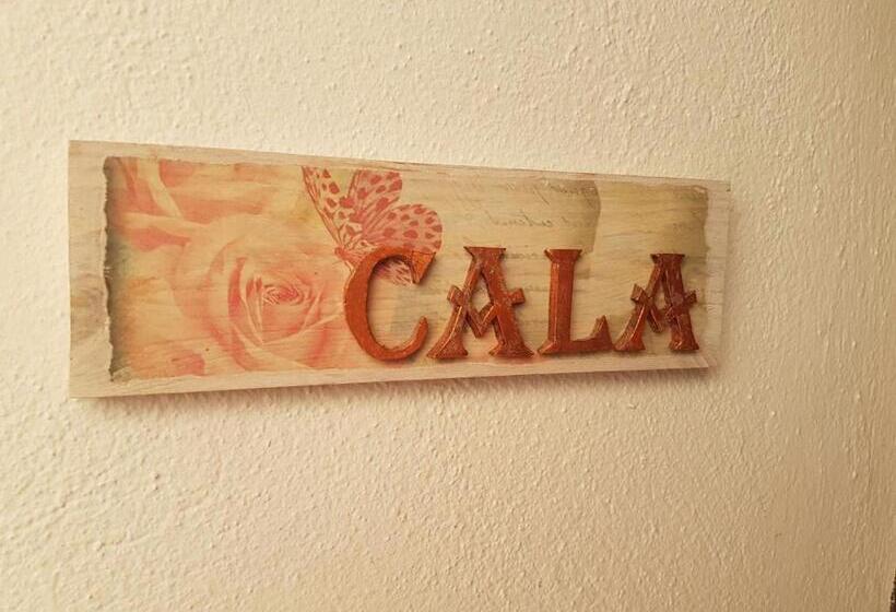 اتاق استاندارد, Hostel Mayflowers