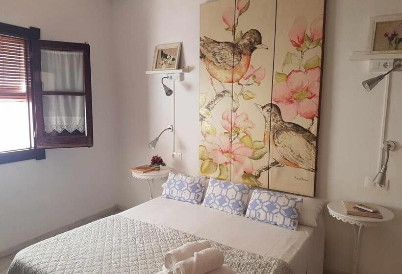 اتاق استاندارد, Hostel Mayflowers