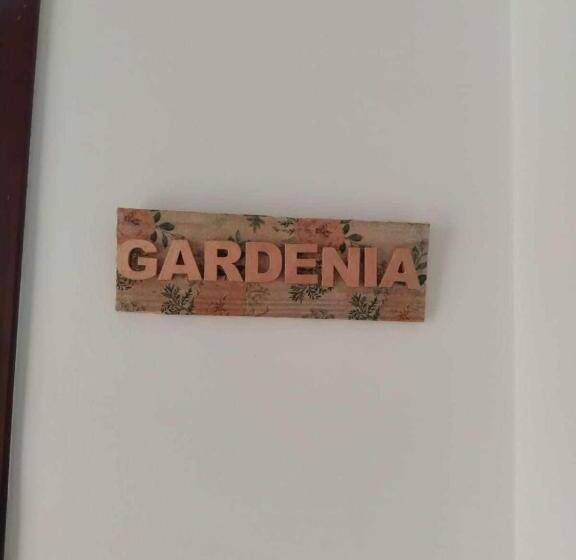 اتاق لوکس با تخت بزرگ, Hostel Mayflowers