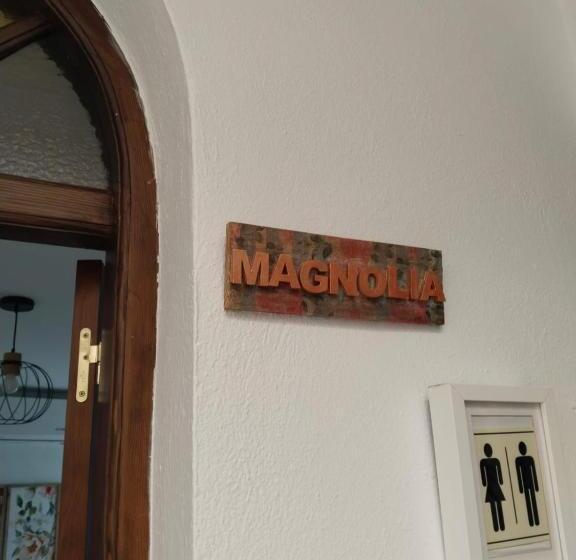 اتاق لوکس, Hostel Mayflowers