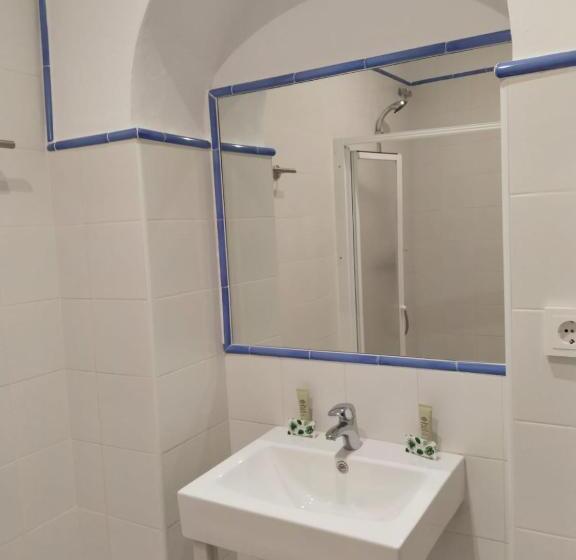 اتاق لوکس, Hostel Mayflowers