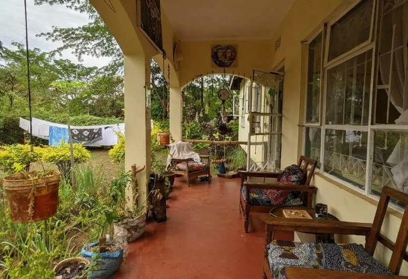 デラックスルーム, Backyard Hostel