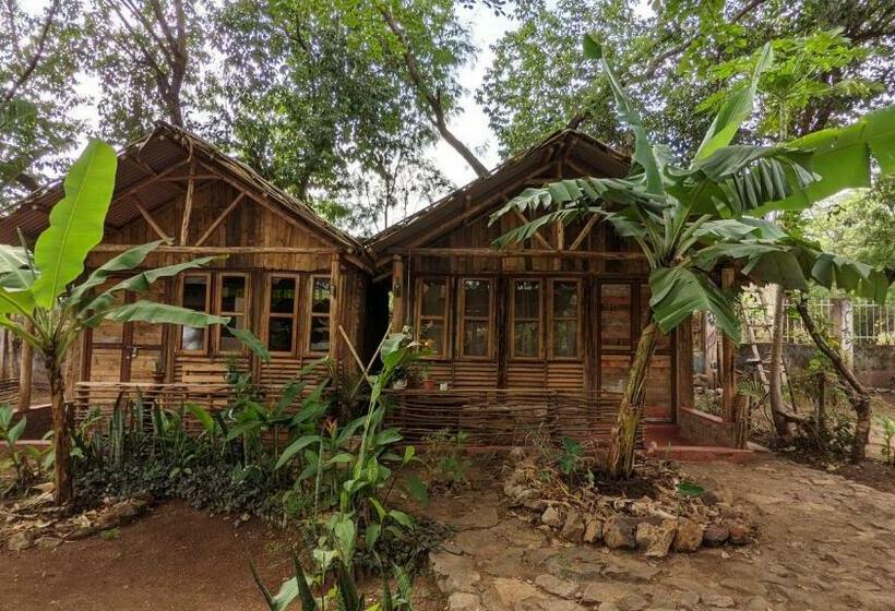 Бунгало Стандарт Вид на Сад, Backyard Hostel