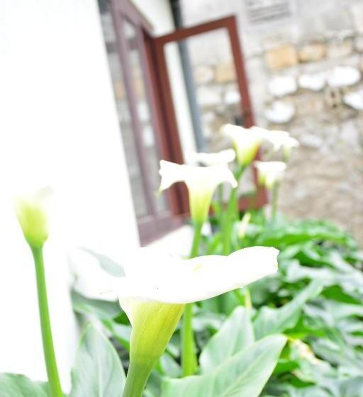 Standard Room, Barcode Residencies   Nuwara Eliya