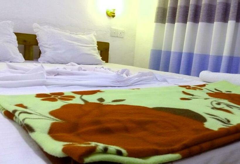 디럭스 룸, Eco Salient View