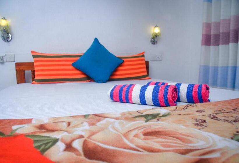 이코노미 룸, Eco Salient View