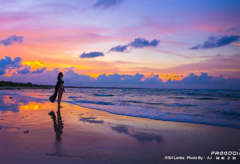 复式套房, Cardamon Hotel Nilaveli