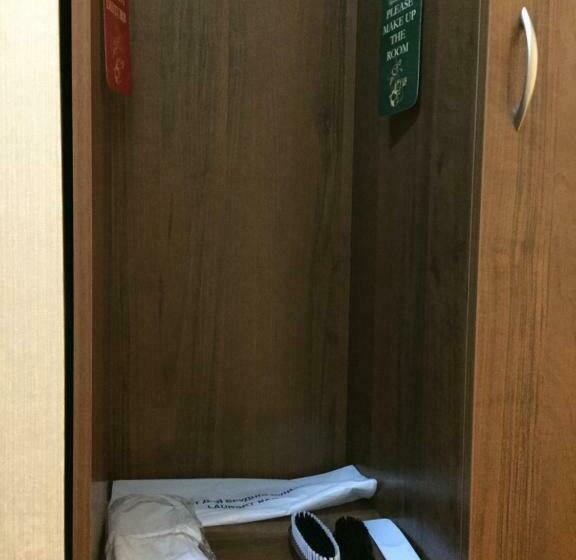 标准单人间, Tourist