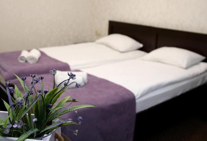 高级大房间, Tourist