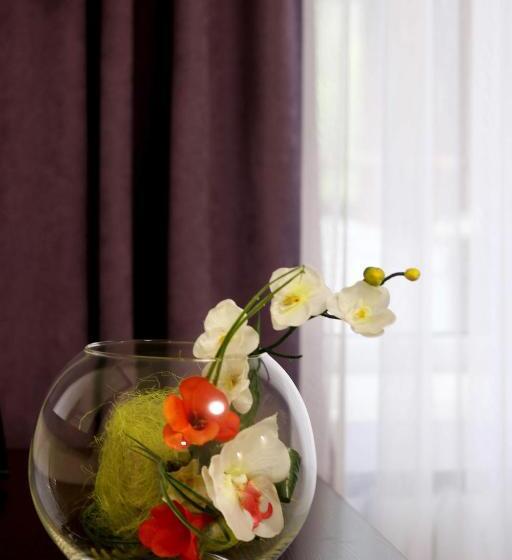 高级大房间, Tourist