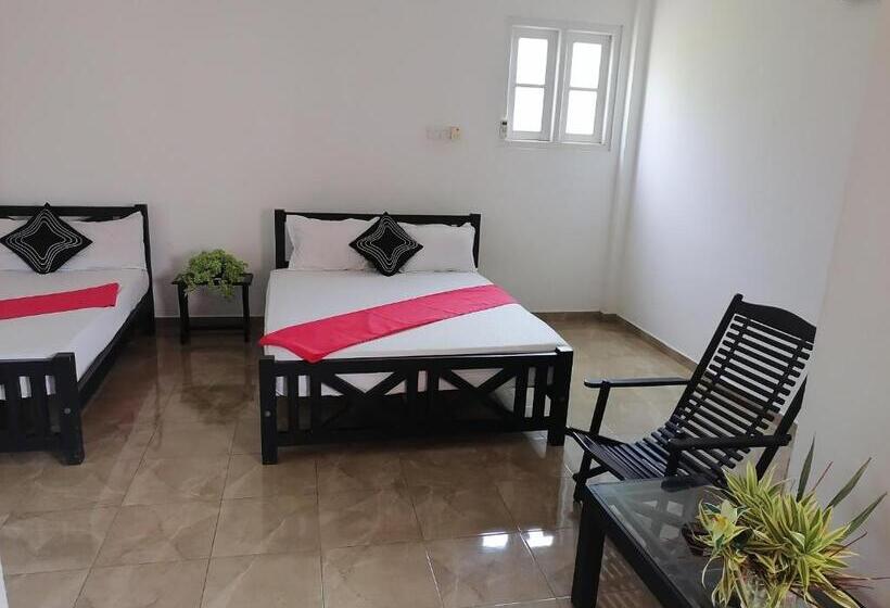 Номер Стандарт Трехместный, Water Nest