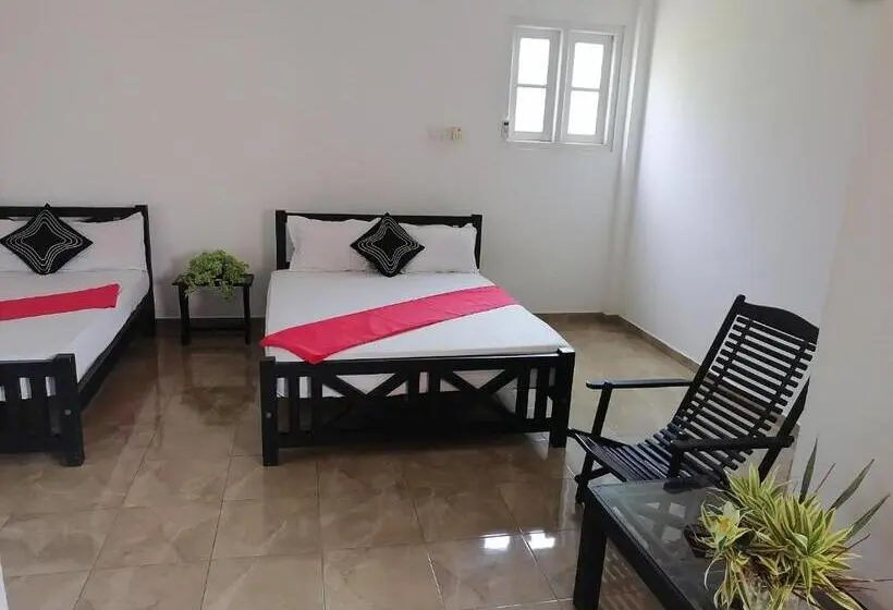 اتاق استاندارد سه نفره, Water Nest