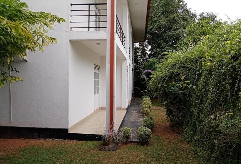 Номер Стандарт, Water Nest