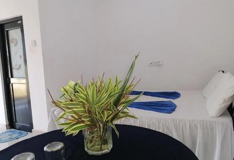 اتاق اکونومی, Water Nest