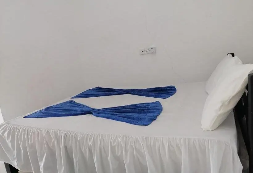 اتاق اکونومی, Water Nest