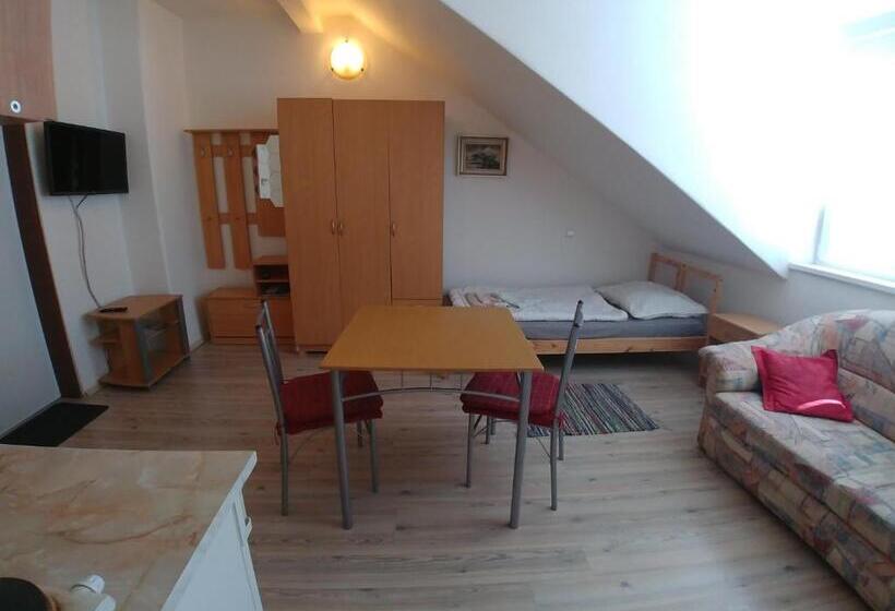شقة غرفة واحدة, Kv Apartmans Varšavská