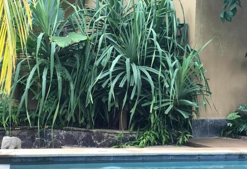 Deluxe Triple Room, Aurora