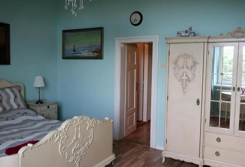 חדר סופריור עם מיטת קינג, Pension Grant Lux Znojmo