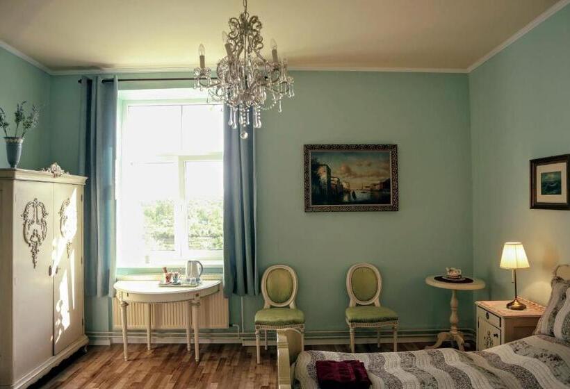 חדר סופריור עם מיטת קינג, Pension Grant Lux Znojmo