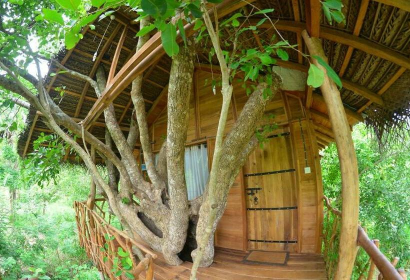 １ベッドルームハウス, Habarana Tree House Ambasewana Resort