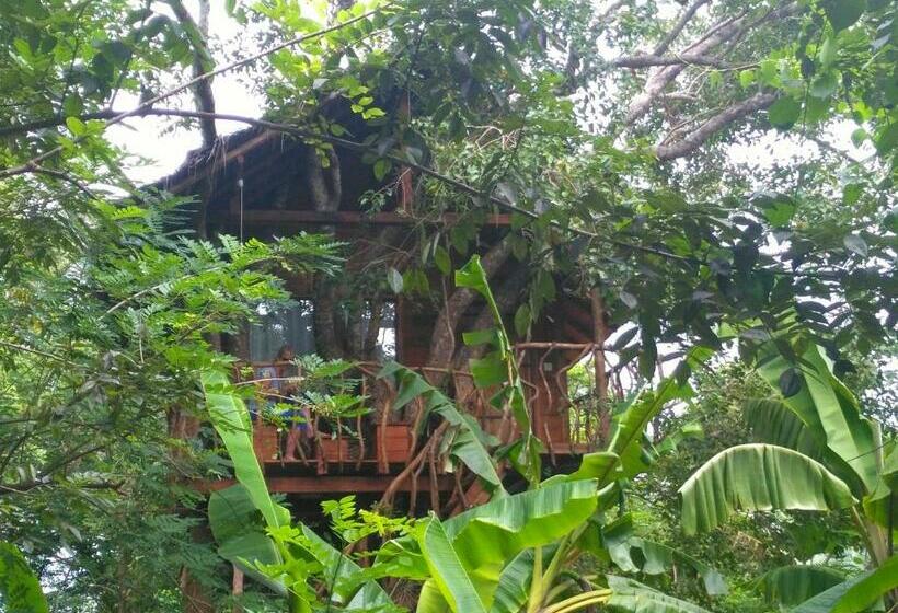 Дом 1 Спальня, Habarana Tree House Ambasewana Resort