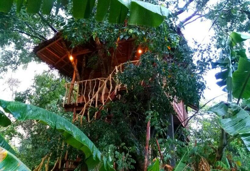 １ベッドルームハウス, Habarana Tree House Ambasewana Resort