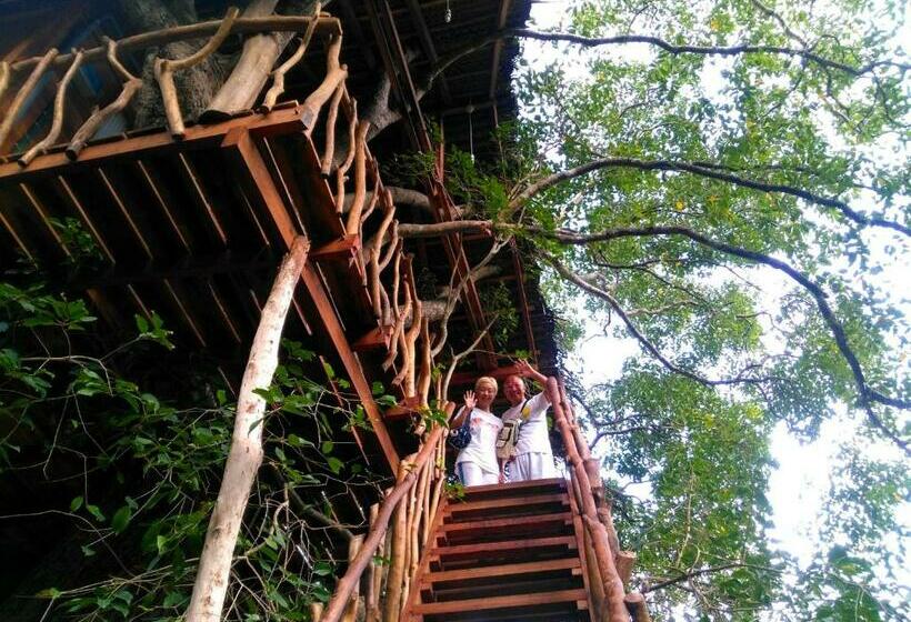 １ベッドルームハウス, Habarana Tree House Ambasewana Resort