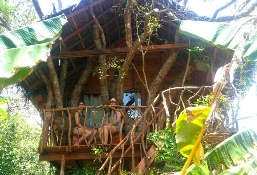 １ベッドルームハウス, Habarana Tree House Ambasewana Resort