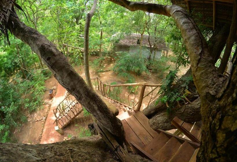 Дом 1 Спальня, Habarana Tree House Ambasewana Resort