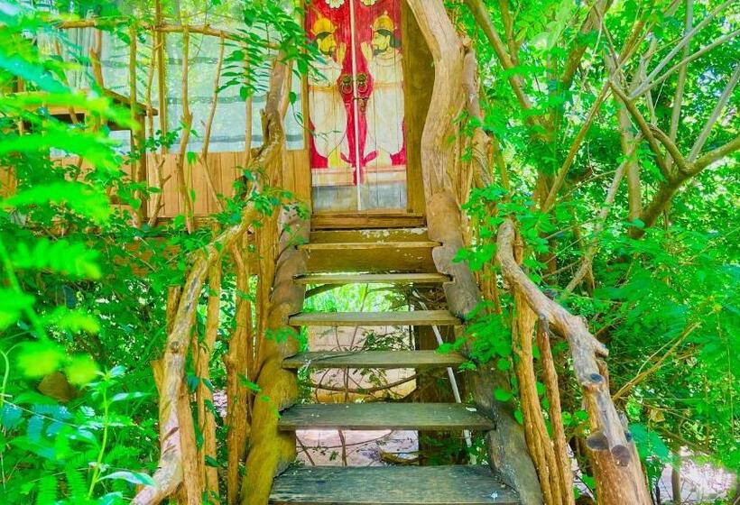 バルコニー付きデラックスルーム, Habarana Tree House Ambasewana Resort