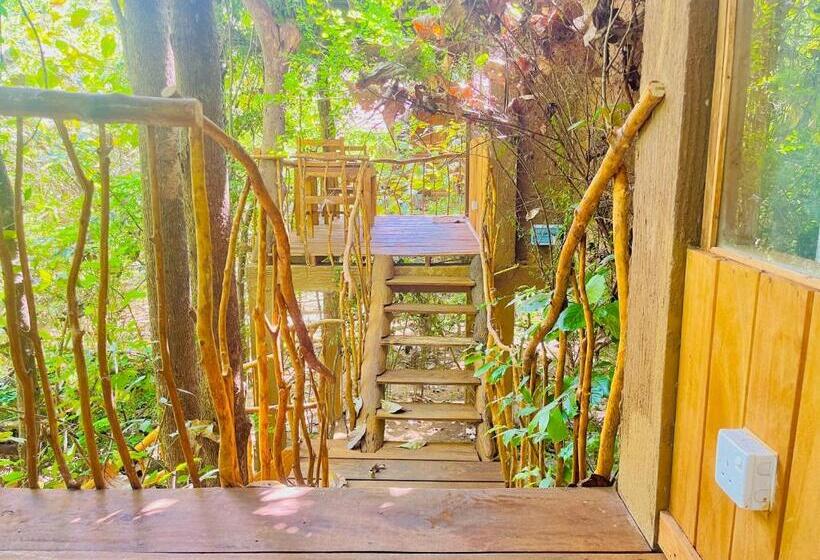 バルコニー付きスタンダードトリプルルーム, Habarana Tree House Ambasewana Resort