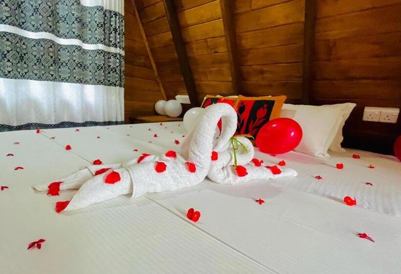 Трехместный Номер Стандарт с Балконом, Habarana Tree House Ambasewana Resort