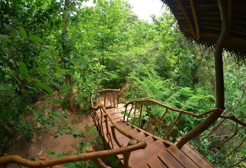 １ベッドルームハウス, Habarana Tree House Ambasewana Resort