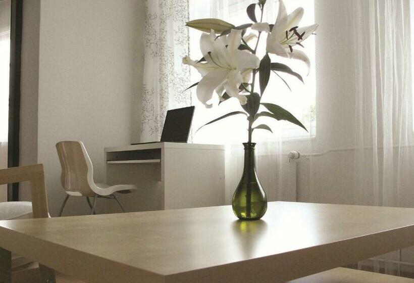 اتاق استاندارد یک نفره, Saloon