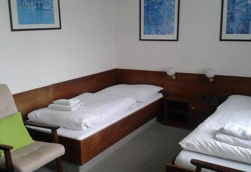 اتاق استاندارد, Saloon