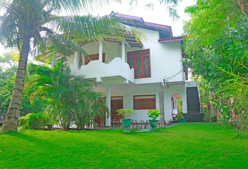 디럭스 룸, Shine Park