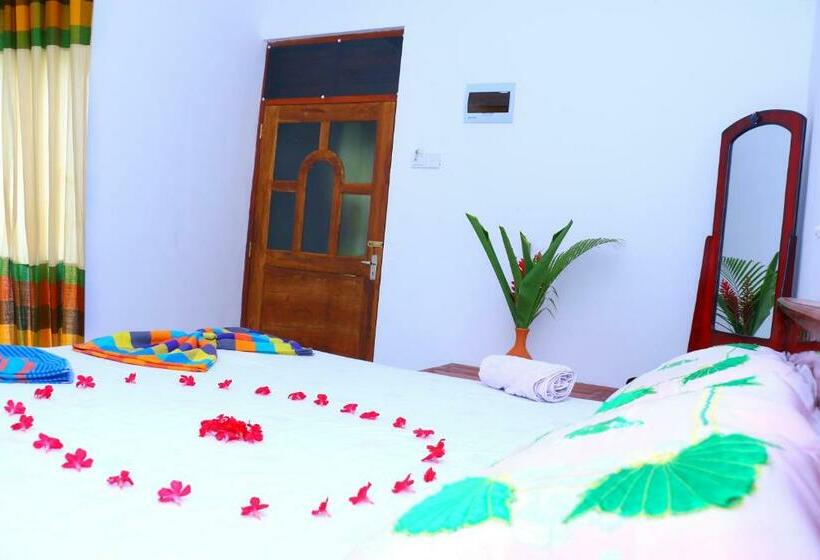 디럭스 룸, Shine Park