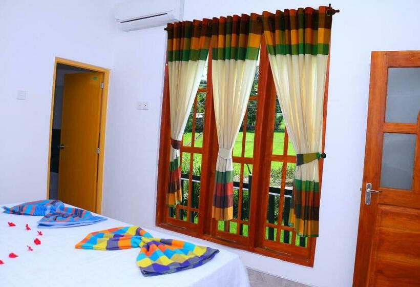 디럭스 룸, Shine Park