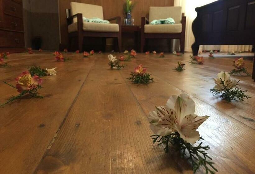 디럭스 룸, The Trevene